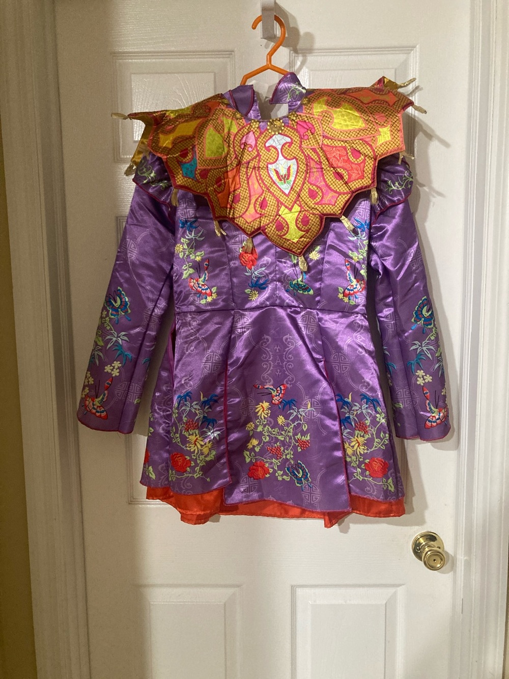 Alice in wonderland Halloween costume